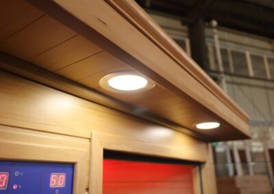 nfrared Classic Sauna outside lights