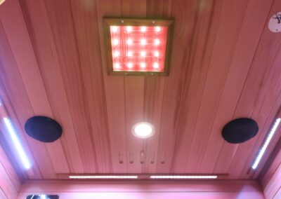 2p Classic Infrared Sauna ceiling