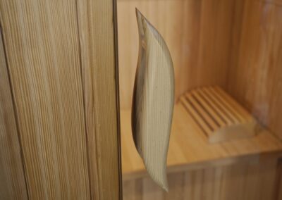 1. Sauna Glass Door