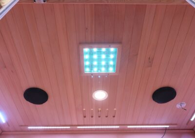Wise 3p Sauna ceiling