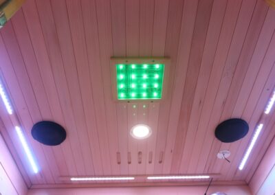 Wise Infrared Sauna ceiling
