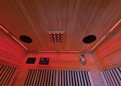 Wise Sauna ceiling infrared