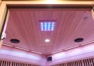 Infrared Sauna ceiling with lighting