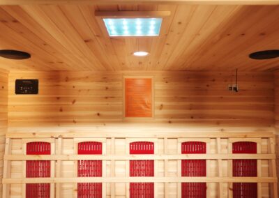 4p Outdoor Infrared ceiling