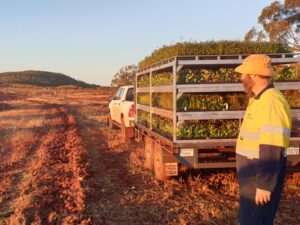 Carbon Neutral image