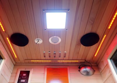 1-person Black Infrared sauna inside ceiling