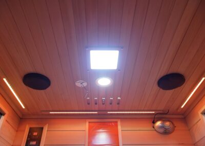 2-person Black Infrared Sauna ceiling with led lights